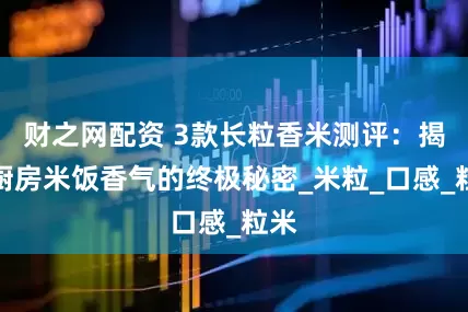 财之网配资 3款长粒香米测评：揭开厨房米饭香气的终极秘密_米粒_口感_粒米